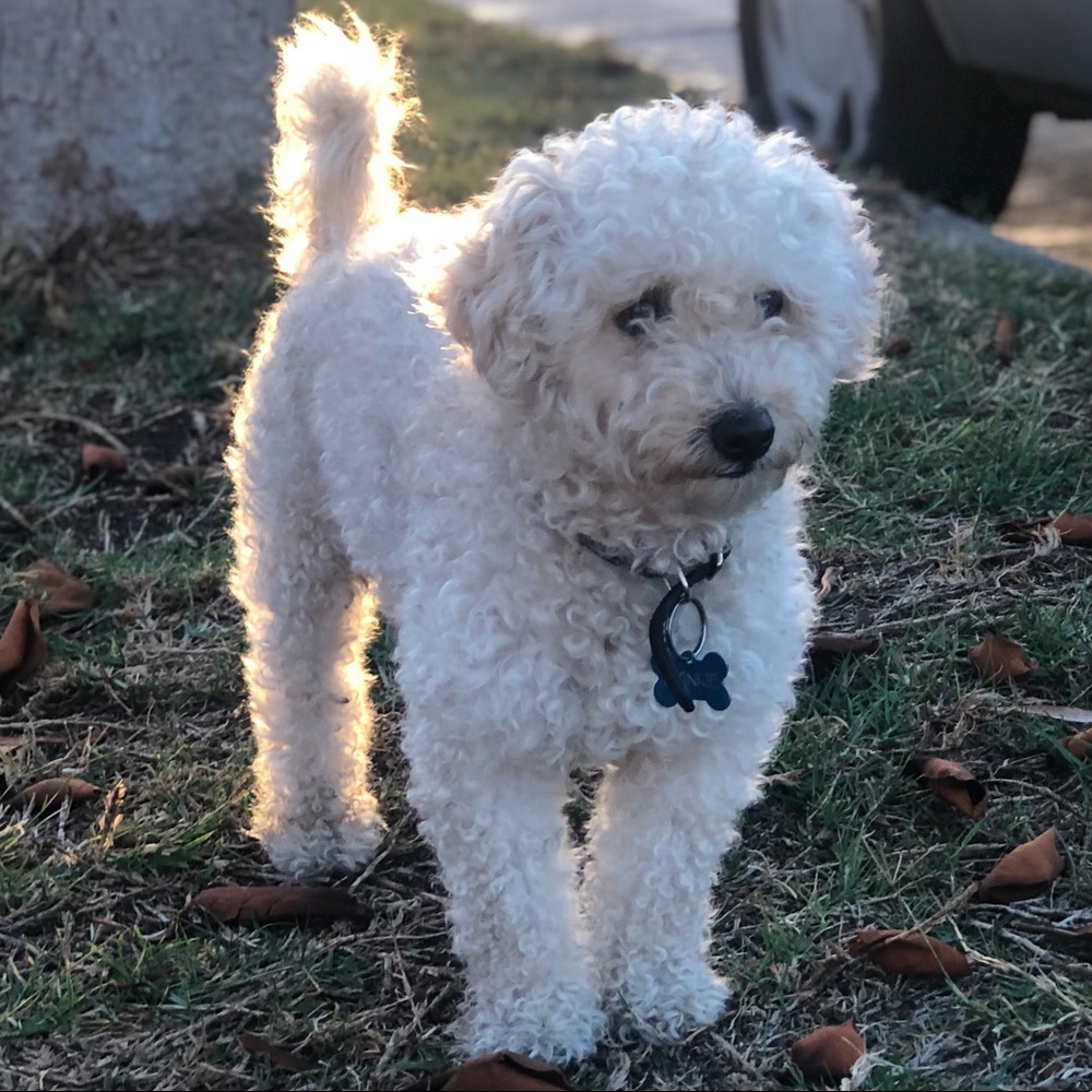 Meet your Posher, Mya